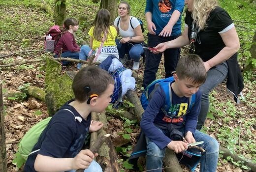 Kinder schnitzen im Wald an Holzstücken