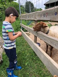 Man sieht einen kleinen Jungen mit Hörgeräten, der ein Schaf füttert.