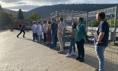 Gruppenspiel mit 19 Menschen im Freien