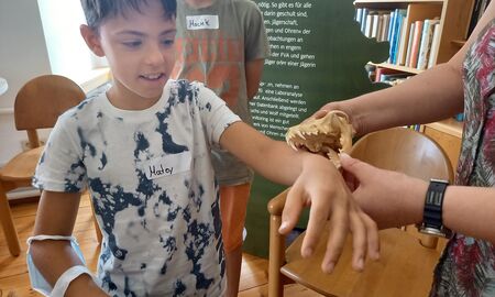 Ein Viertklässler streckt den Arm nach vorne aus, eine erwachsene Person hält einen kleinen Tierschädel an seinen Arm und zeigt ihm, wie sich das Zubeißen anfühlen würde.