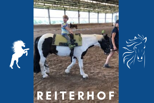 Bild mit einem Jungen auf einem Pferd, geführt von der Trainerin auf dem Reiterhof