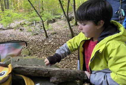Ein Junge schnitzt an einem Stück Holz