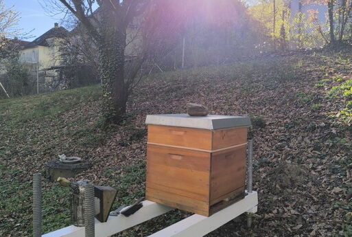 Ein Bienenkasten steht an einem Hang