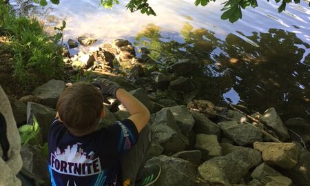 Ein Junge sitzt auf Steinen am Flussrand und schaut ins Wasser des Neckars.