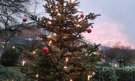 Zu sehen ist der Weihnachtsbaum auf dem Außengelände. Er ist geschmückt und leuchtet.