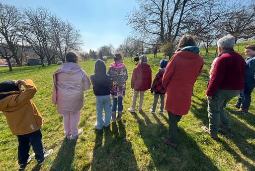 Sieben Kinder und zwei Erwachsene stehen mit dem Rücken zur Kamera und schauen auf eine Wiese auf der Schafe im Hintergrund zu sehen sind