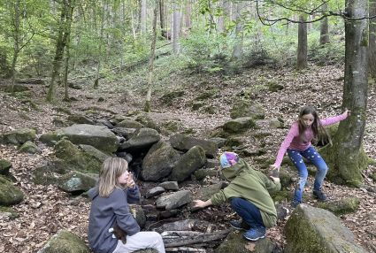 Brückenbau im Wald am Bachlauf