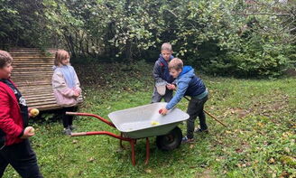 Kinder sammeln in einer Schubkarre Äpfel