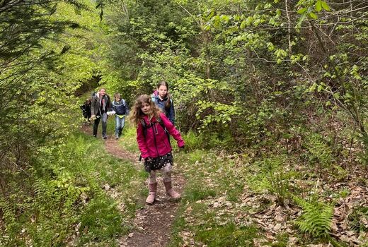 Kinder wandern im Wald