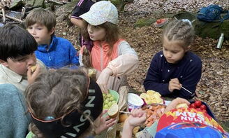 Abendessen im Wald