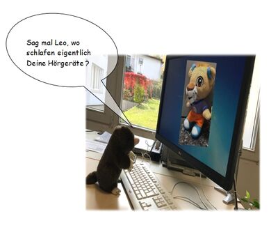 Mauli Maulwurf sitzt vor einer Computertastatur. Auf dem Monitor ist Leo Löwenohr zu sehen