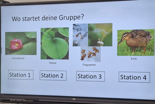 Auf einer digitalen Tafel steht der Schriftzug "Wo startet deine Gruppe?", darunter sind vier Bilder beschriftet mit den Worten Station eins bis vier