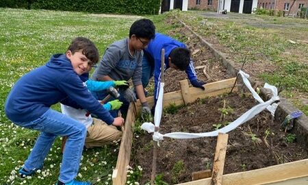Vier Schüler errichten eine Beetumrandung aus Holz