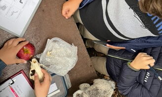 Kinder sammeln Dinge im Garten