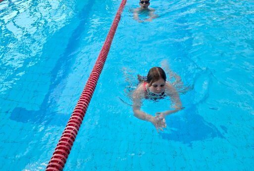 Mehrere Kinder schwimmen im Schwimmbecken hintereinander auf der gleichen Bahn