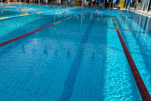 Mehrere Kinder schwimmen im Kraul-Stil im Wasser