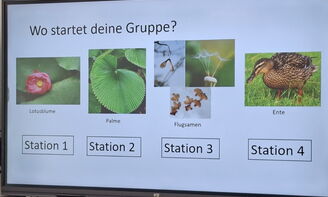 Auf einer digitalen Tafel steht der Schriftzug "Wo startet deine Gruppe?", darunter sind vier Bilder beschriftet mit den Worten Station eins bis vier