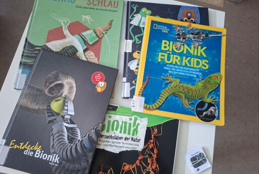 Auf einem Tisch liegen Bücher über Bionik
