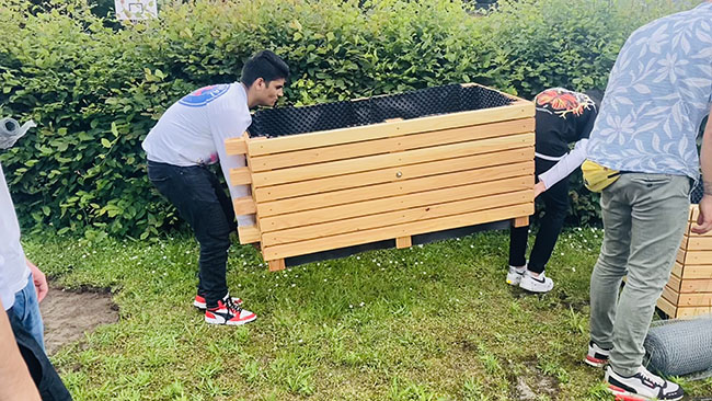 Die Hochbeete werden im Schulgarten an die richtige Stelle gestellt.