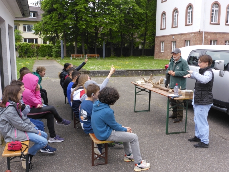 Der Jäger beantwortet die Fragen der Schüler