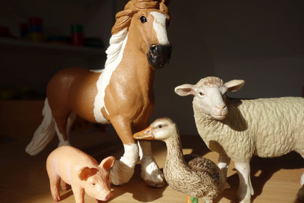 Tiere - Schwein, Pferd, Gans, Schaf